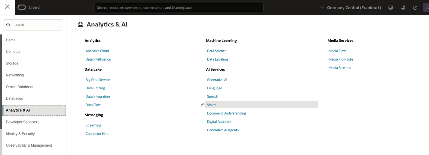 Oracle Vision: Harnessing Pre-Trained Models for Smarter Insights - Vertice